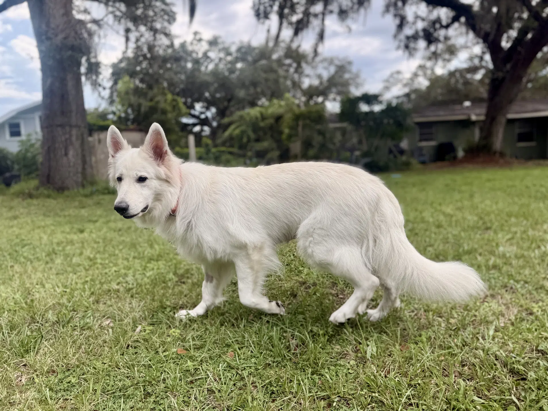 Luna Marie image 4