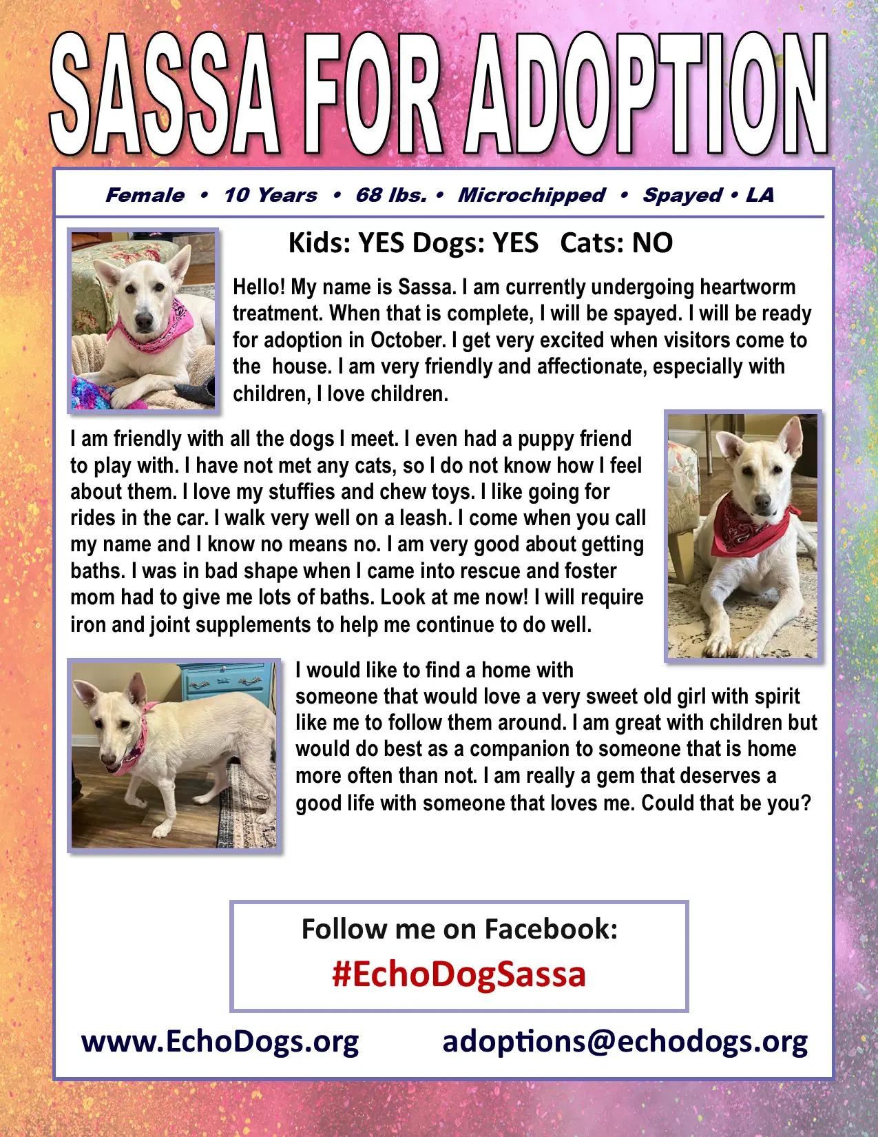 Sassa image 2