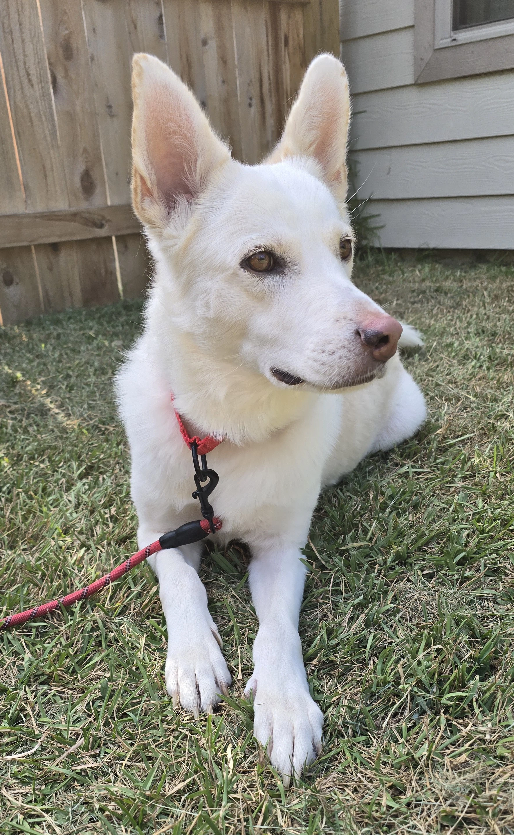 Yukon
