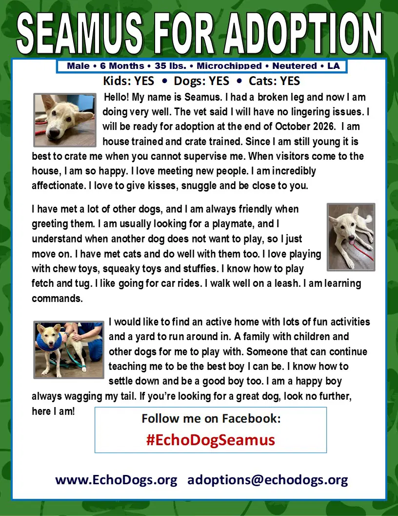 Seamus image 2