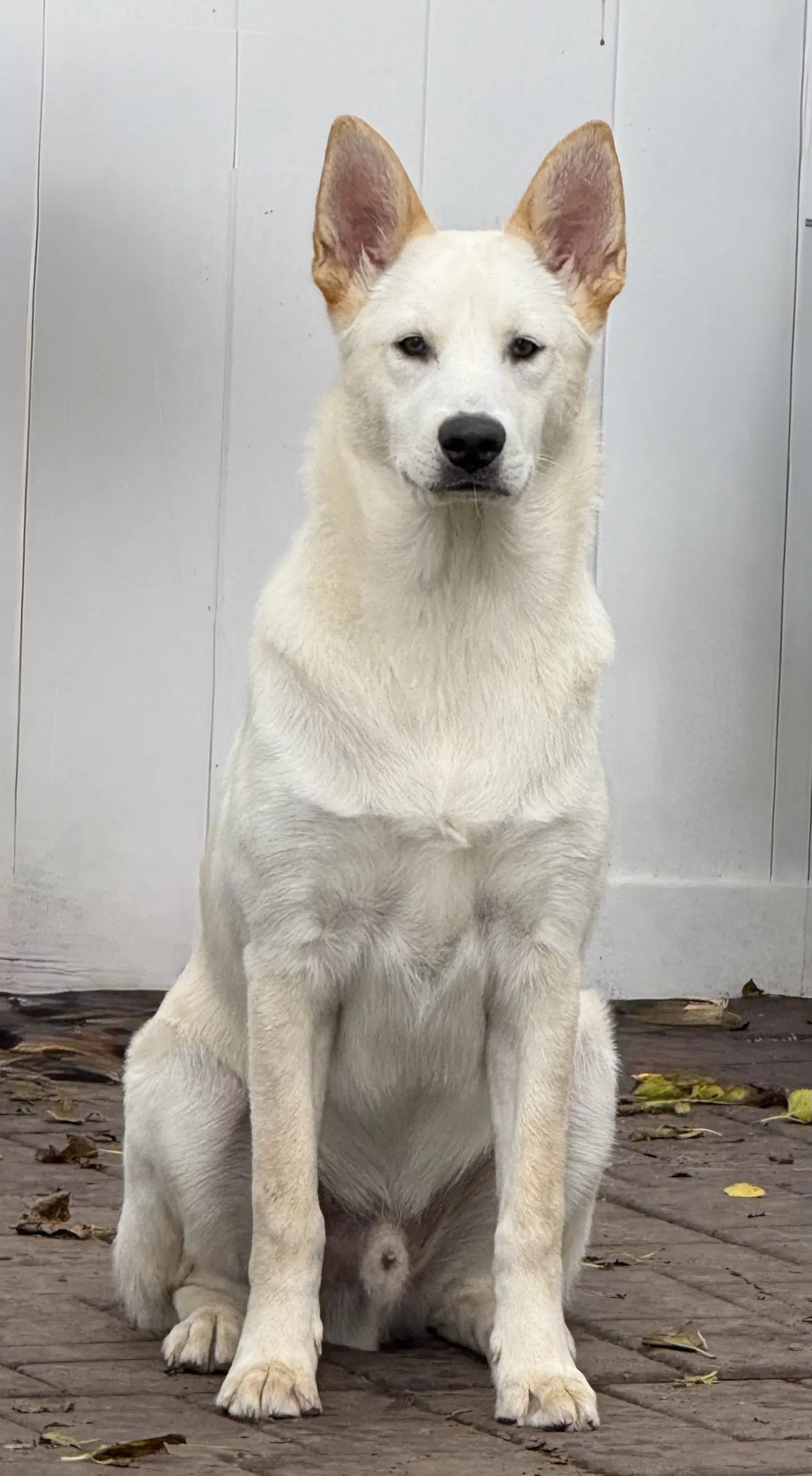 Grady image 4