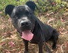 BRODY - Photo 1