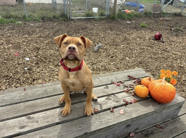 WINNIE