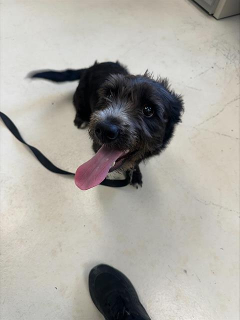 Max
