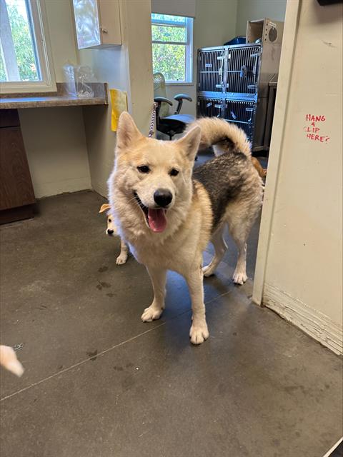 Kenai