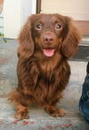 Gretchen