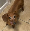 Winnie