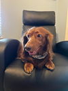 Charlie