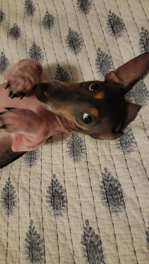 Rosie