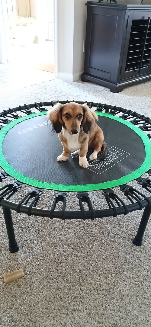 Lucy