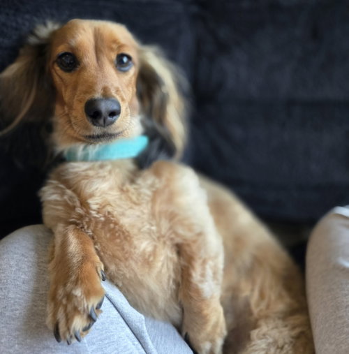 Milo