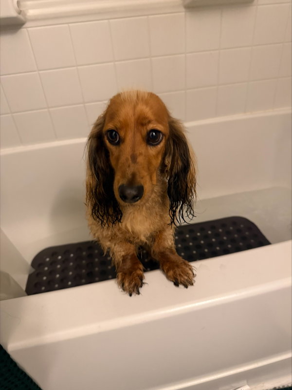 Milo