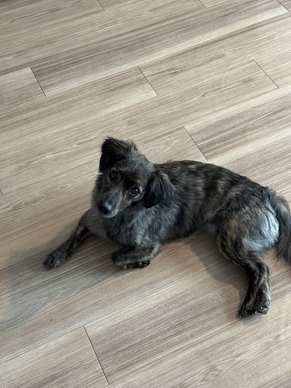 Coco