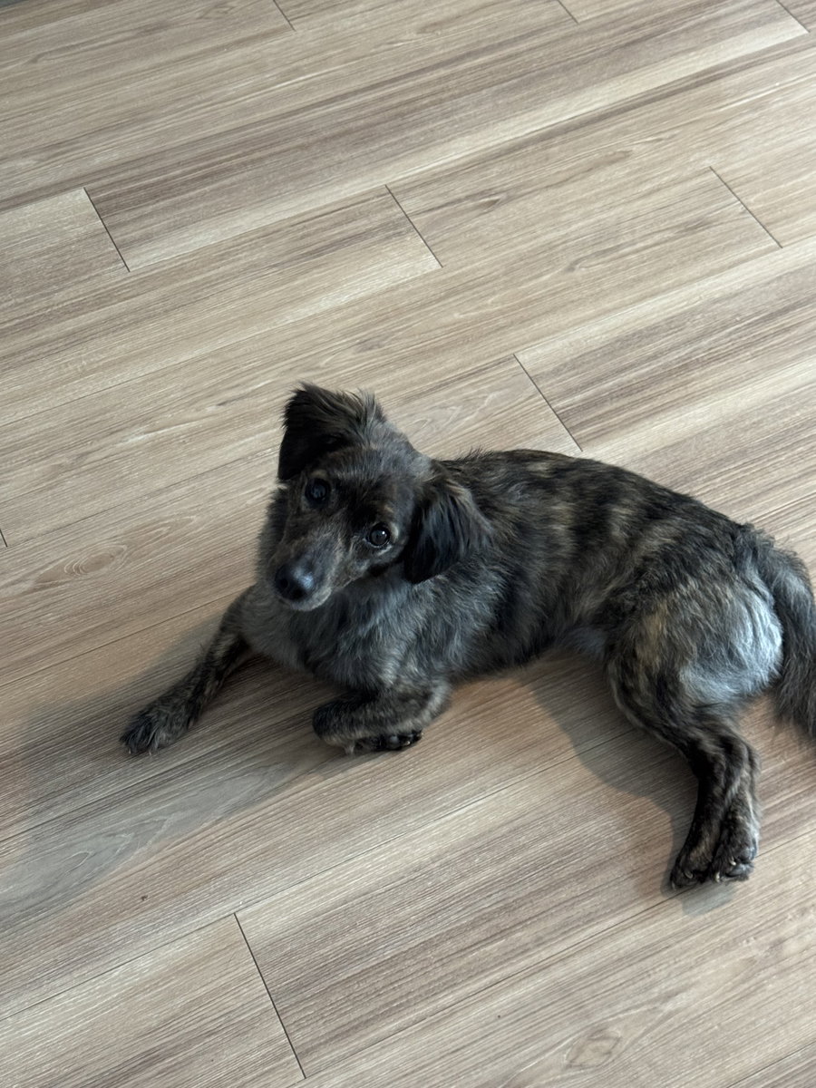 Coco