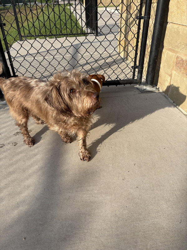 Diggie