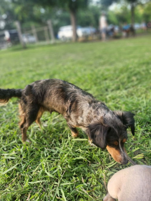Margo