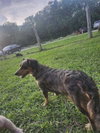 Margo