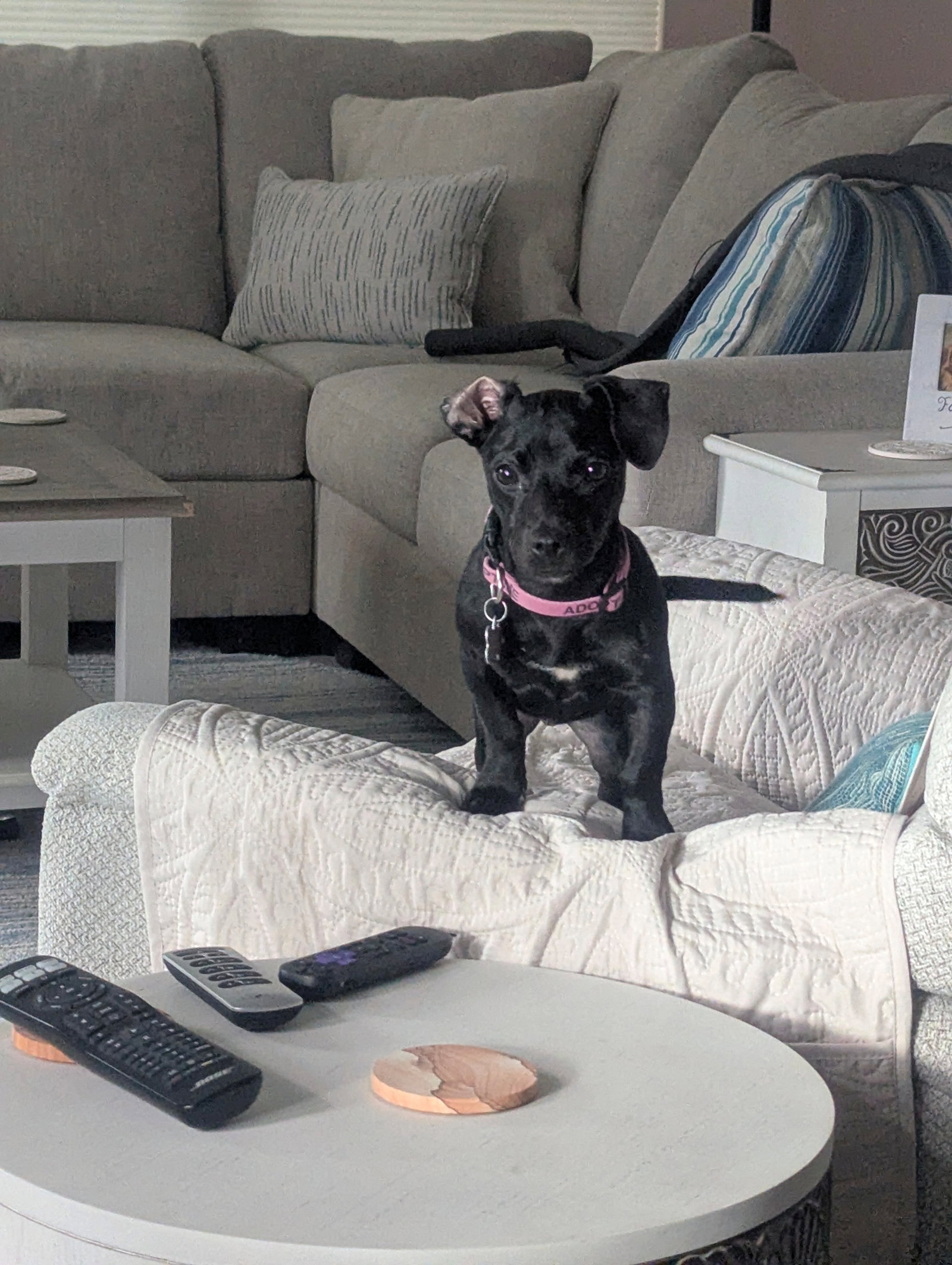 Matilda, photo 7