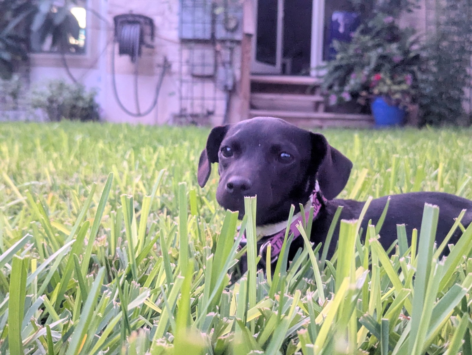Matilda, photo 8