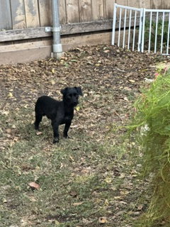 Photo 3 of Poke