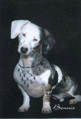 Bonnie