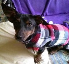 Bronson