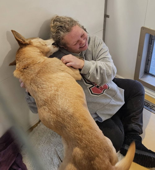 Helen (10yo, 40lbs), photo 6