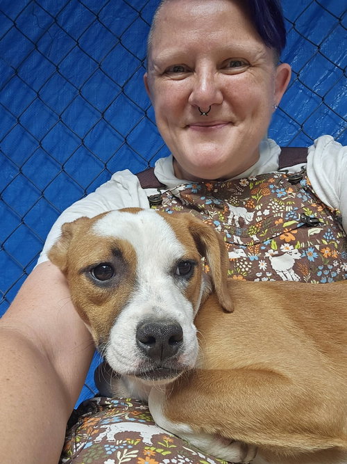 Bibbly (3mo, 13lbs), a dog for adoption from Animal Control and Welfare Project, Inc