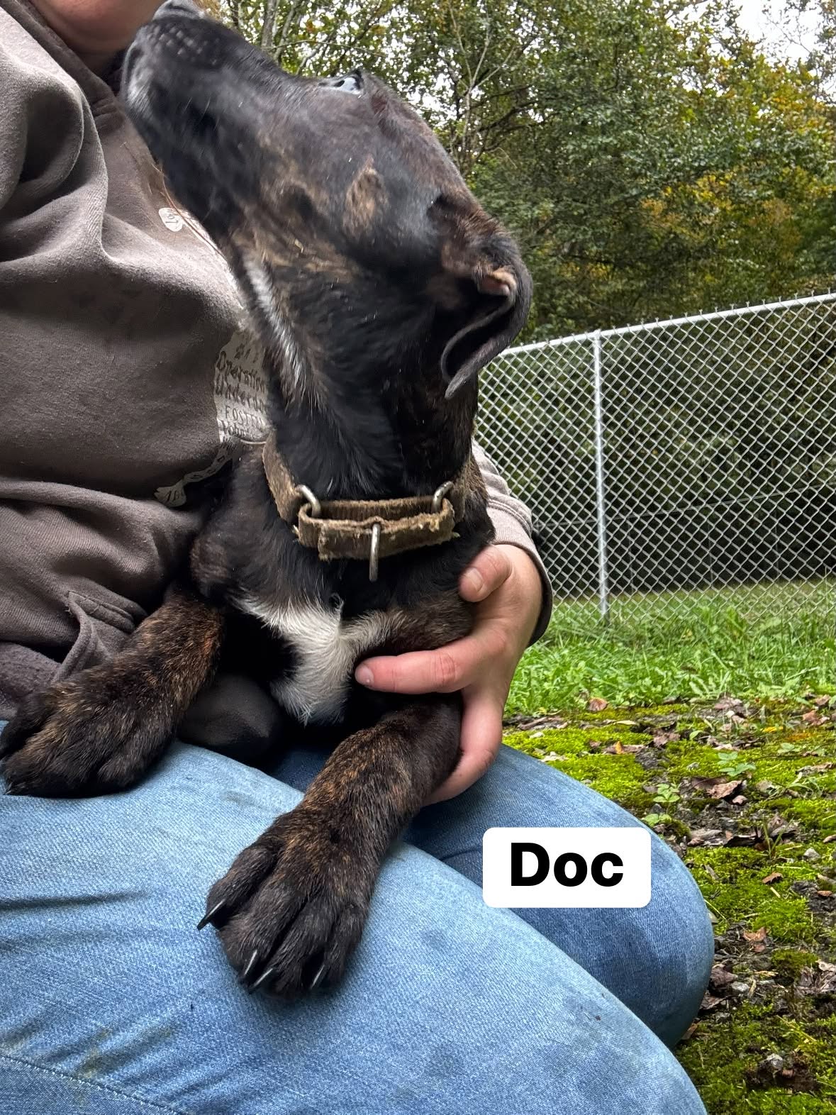 Docwo Lbs