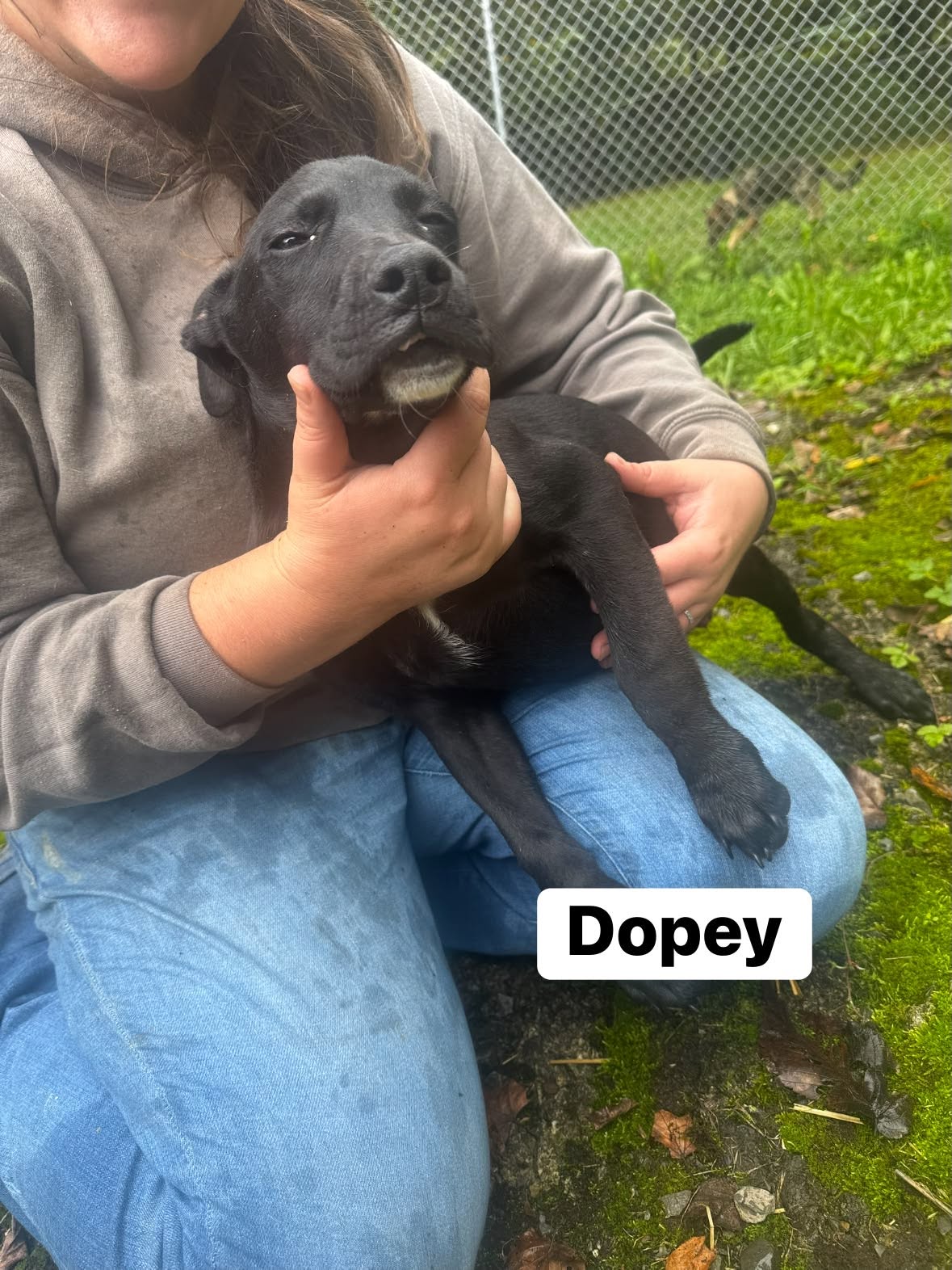 Dopeywo Lbs