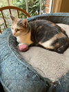 Vera - Photo 4