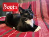 Boots - Photo 4