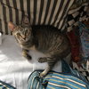 Skippy - Photo 1