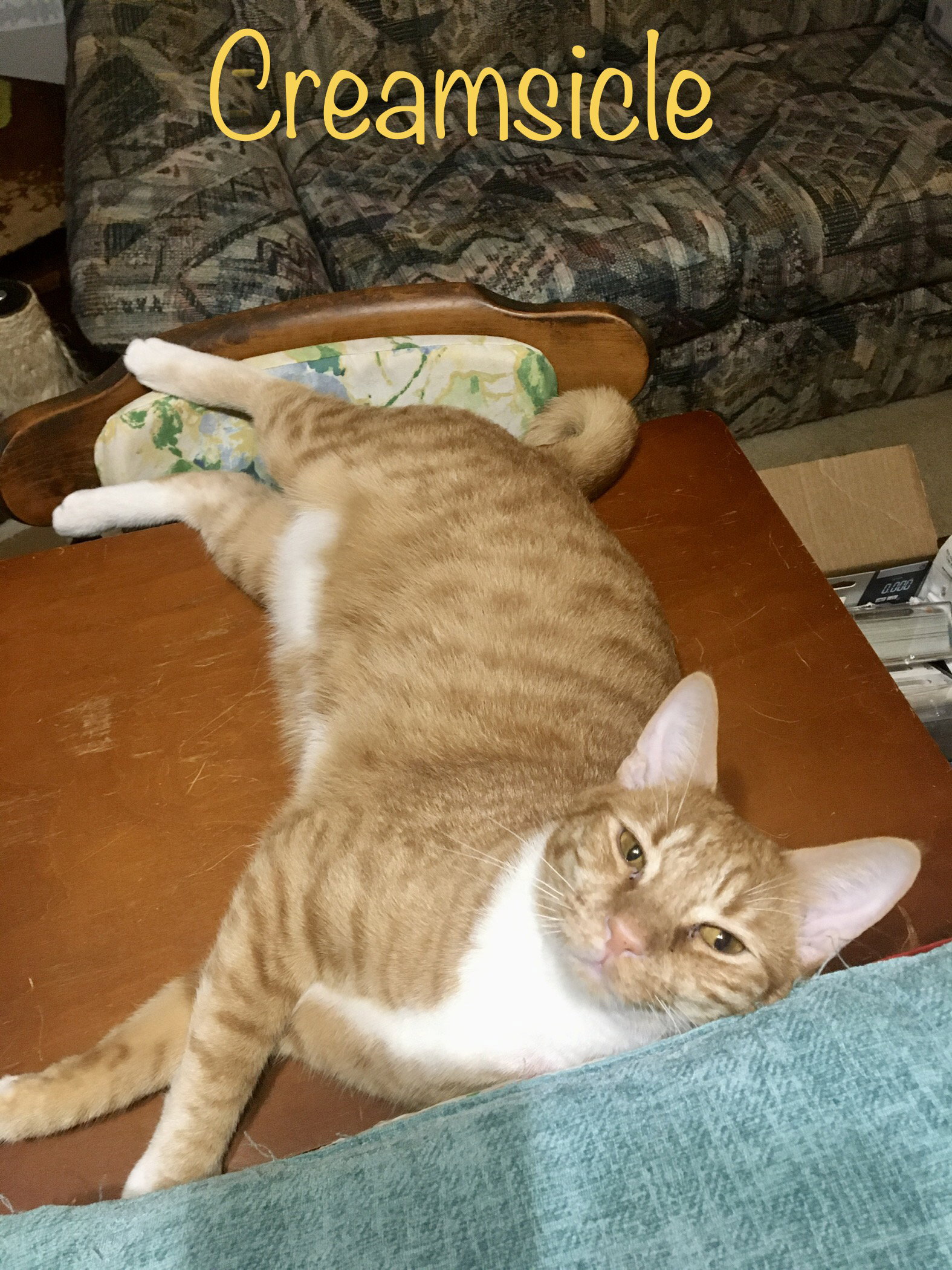 Creamsicle