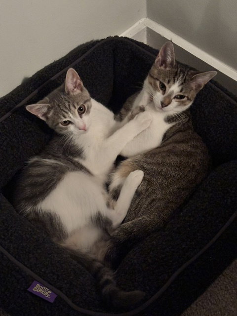 Smudge and Shadow