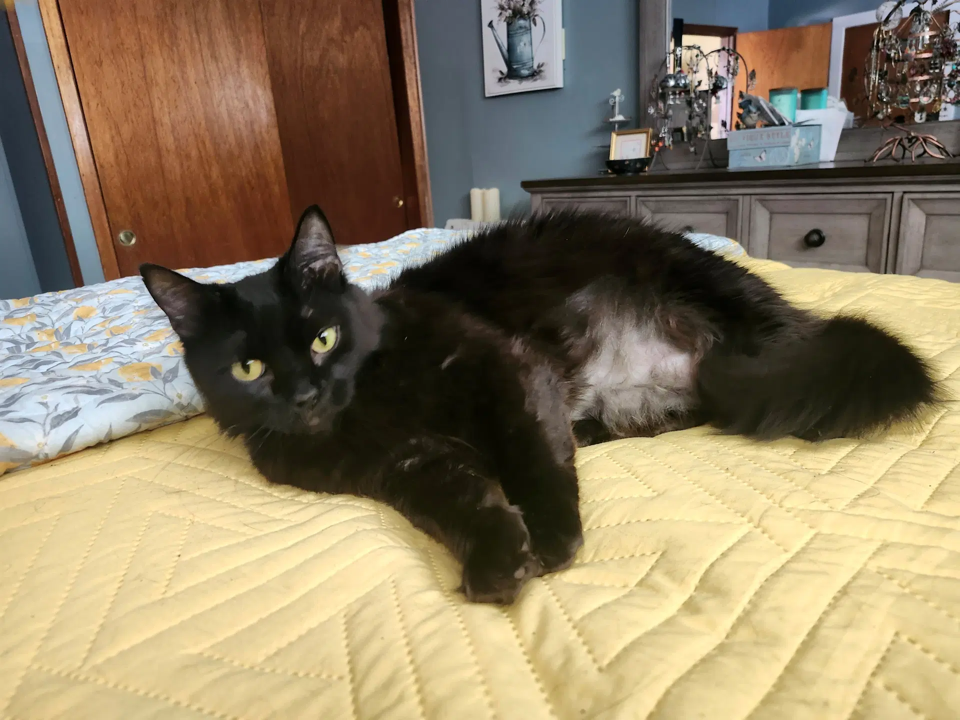 Teagan image 4