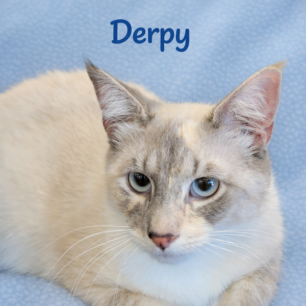 Derpy