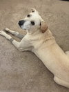Tofu - Photo 5