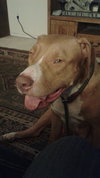 Jada - Photo 8