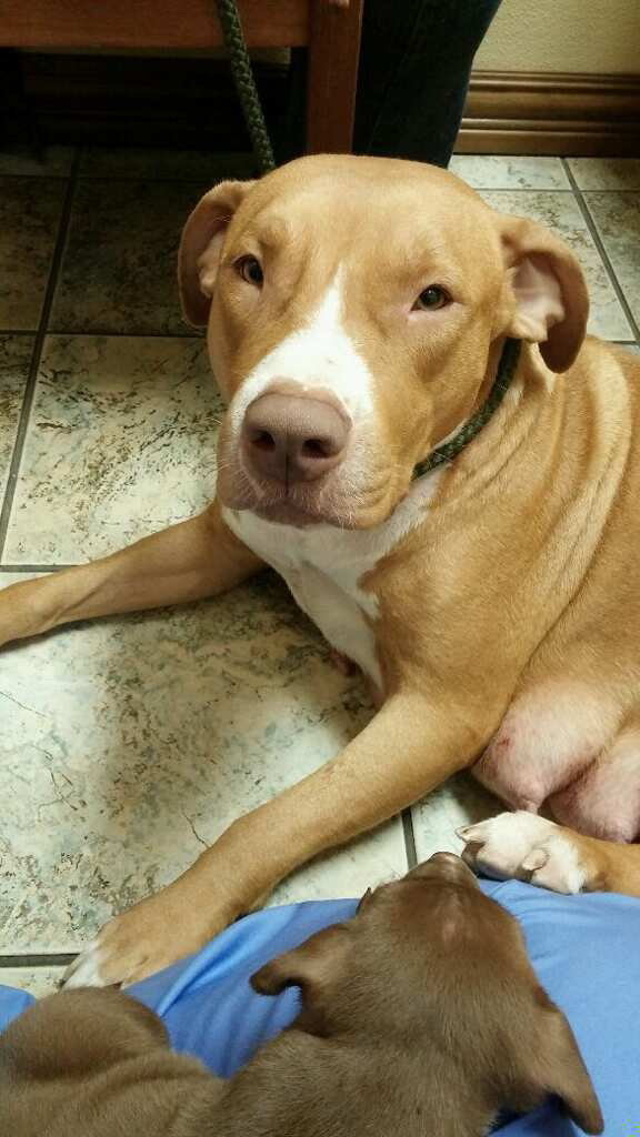 Jada