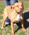 Jada - Photo 7