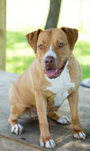 Jada - Photo 2
