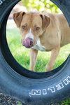 Jada - Photo 4