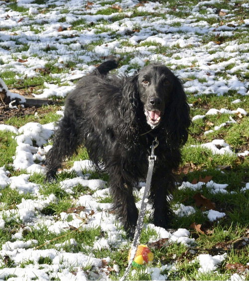 Charlie photo 1
