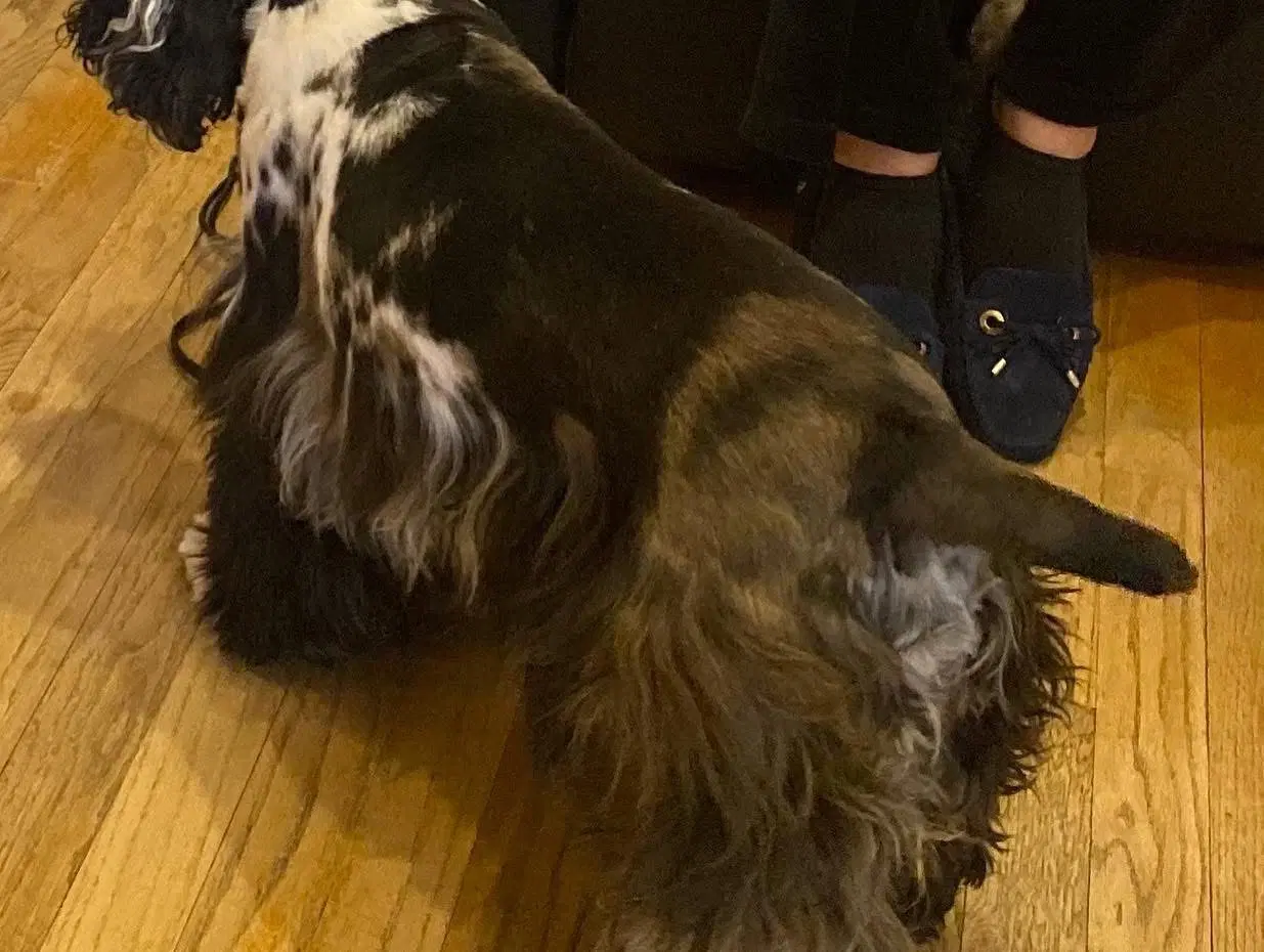 Millie image 3