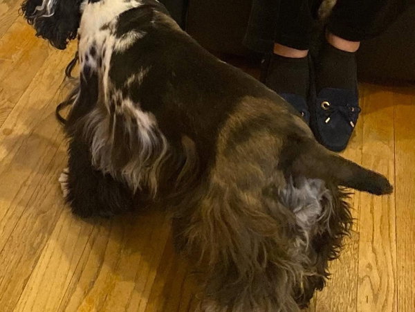 Millie