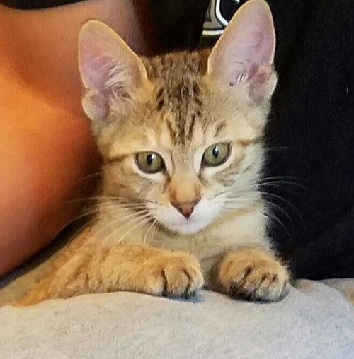 Minnie