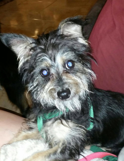 Murphy