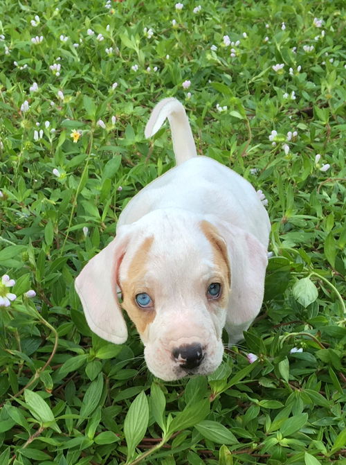 Fiona
