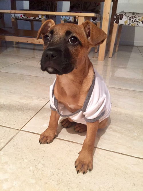 Bamby